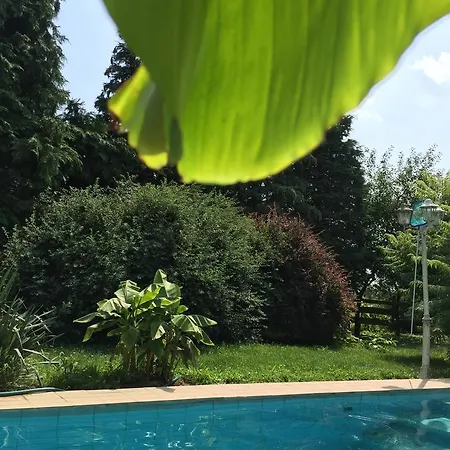 Aranypatkó Lovasudvar Casa vacanze